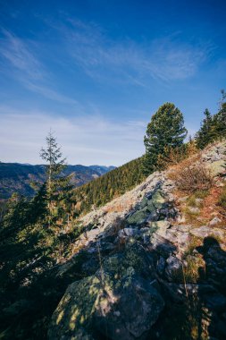 Arkasında dağ olan bir ağaç.