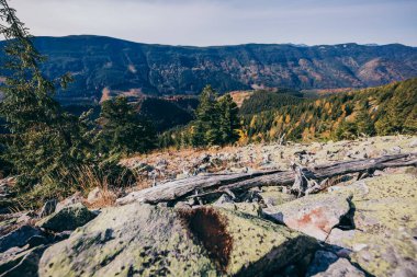 Arkasında dağ olan bir kanyon.