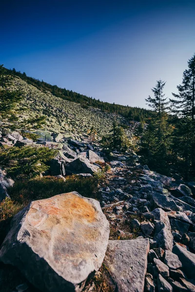 Een rotsachtige berg met bomen op de achtergrond — Stockfoto