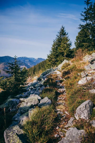 Een rotsachtige berg met bomen op de achtergrond — Stockfoto