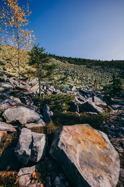 Uma montanha rochosa com árvores no fundo — Fotografia de Stock