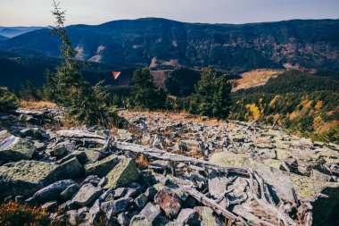 Arkasında dağ olan bir kanyon.