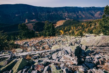 Arkasında dağ olan bir kanyon.