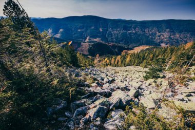 Arkasında dağ olan bir kanyon.