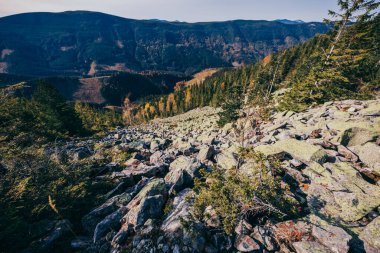 Arkasında dağ olan bir kanyon.