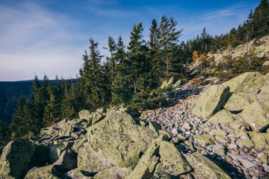 Kayalık bir tepede otlayan bir koyun sürüsü