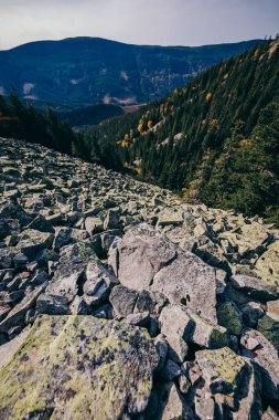Kayalık bir dağ Bir kanyon 