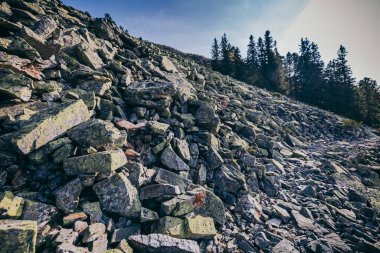 Kayalık bir dağ Bir kanyon 