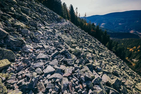 Uma montanha rochosa Um desfiladeiro — Fotografia de Stock