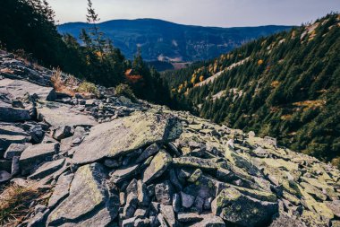 Arkasında dağ olan bir kanyon.