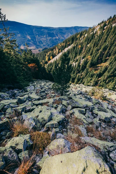 Um desfiladeiro com uma montanha ao fundo — Fotografia de Stock