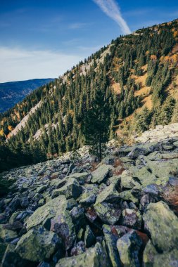 Arkasında ağaçlar olan kayalık bir dağ.