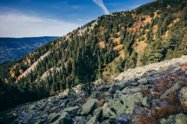 Arkasında dağ olan bir kanyon.