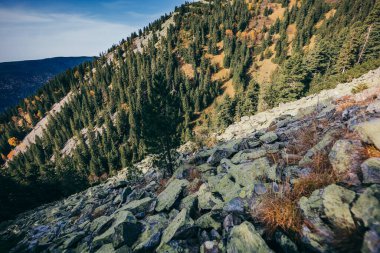 Arkasında dağ olan bir kanyon.