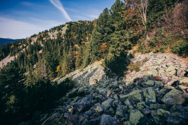 Arkasında dağ olan bir kanyon.