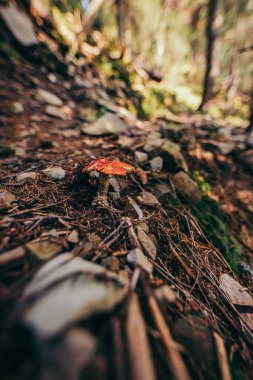 Bir hataya yakın çekim