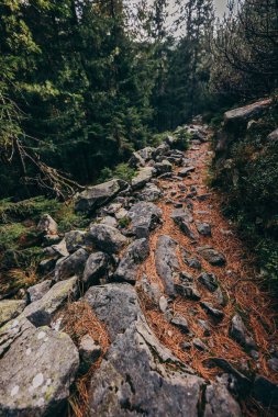 Bir kayaya yakın çekim bir dağa