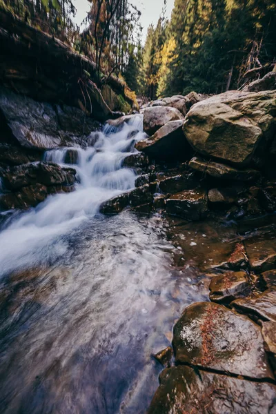 Kayalık bir uçurumun üzerinde büyük bir şelale.