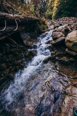 Bir kayanın yanında büyük bir şelale.