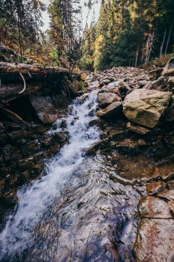 Ormanda büyük bir şelale bir dağ