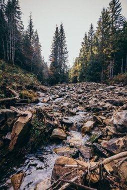 Bir kayaya yakın çekim bir dağa