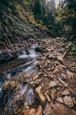 Bir kayaya yakın çekim bir dağa