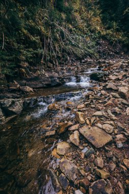 Kayalık bir bölgede bir şelale bir dağ