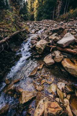 Bir kayaya yakın çekim bir dağa