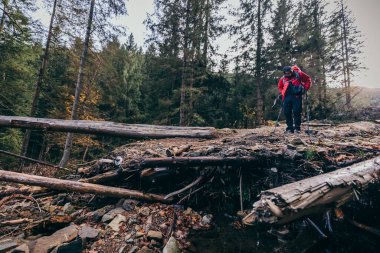 Ormanlık alanda duran bir adam.