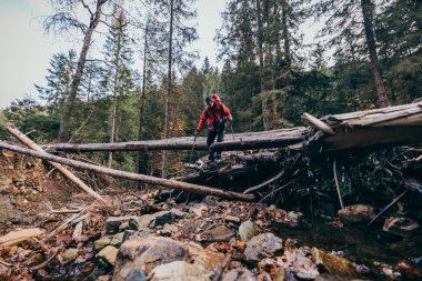 Tahta bir çitin tepesinde oturan biri.