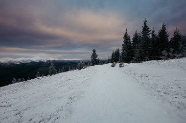 Karla kaplı yamaçta kar kayağı yapan bir adam.