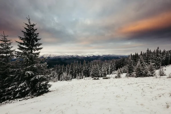 Śnieg pokryte pole góra — Zdjęcie stockowe