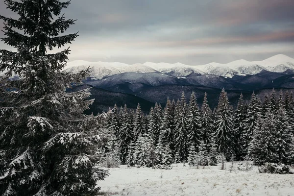 Uma pessoa em pé no topo de uma montanha coberta de neve — Fotografia de Stock