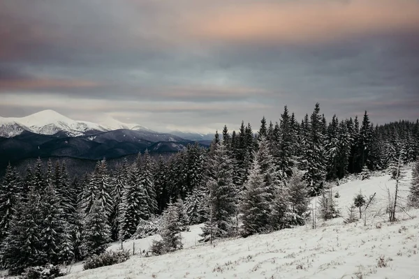 Zbliżenie pokrytego śniegiem stoku — Zdjęcie stockowe