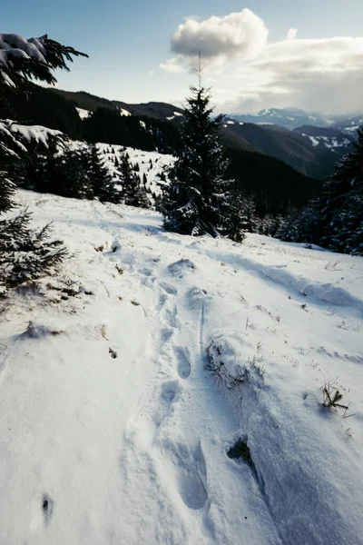 Ein Schnee ein bedeckter Berg ein Berg — Stockfoto