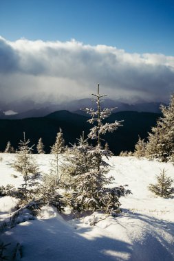 Karla kaplı bir yamacın üstünde bir işaret.