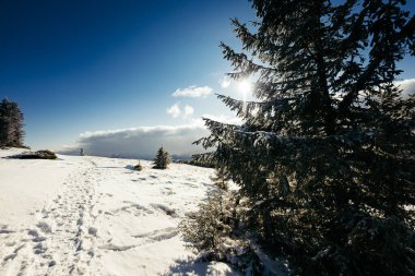 Karla kaplı bir yamacın kenarında bir tabela