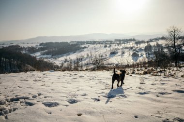 Karla kaplı bir dağda yürüyen bir grup insan.