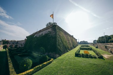 Yeşil çimlerle kaplı bir tren.