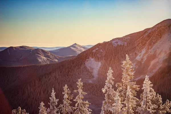 Karla kaplı bir dağın tepesinde duran bir grup insan. — Stok fotoğraf