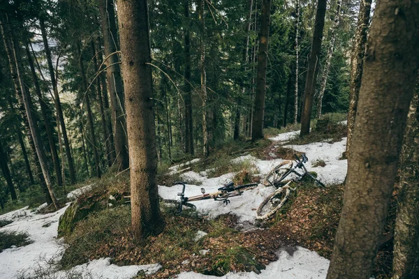 Купка снігу біля лісу — стокове фото