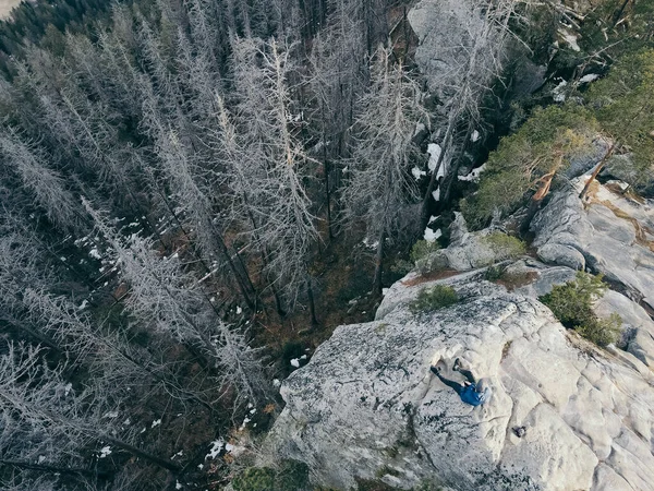 Un árbol con una montaña en el fondo — Foto de Stock