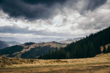 Arkasında dağ olan bir ağaç.