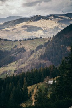 Arkasında dağ olan bir kanyon.
