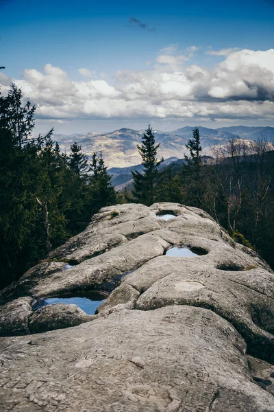 뒤에 나무가 있는 바위 산 — 스톡 사진