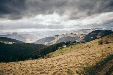 Toprakta bir grup bulut