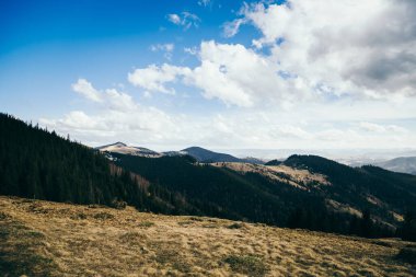 Arka planda büyük bir dağ.
