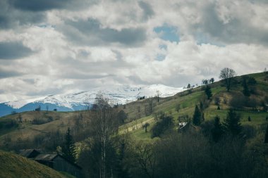 Çelik raylarda büyük uzun bir tren.