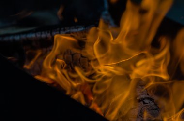 Yangın, kömür, sıcaklık, alev, köz, yanma, ahşap, şenlik ateşi, kül, kamp ateşi, turuncu, sarı