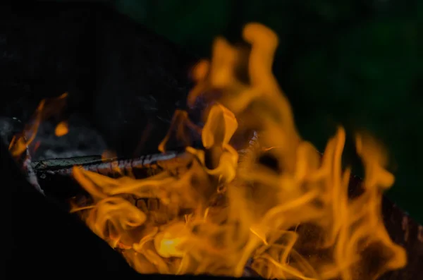 Fire, charcoal, temperature, flame, embers, burning, wood, bonfire, ash, campfire, orange, yellow — Stock Photo, Image